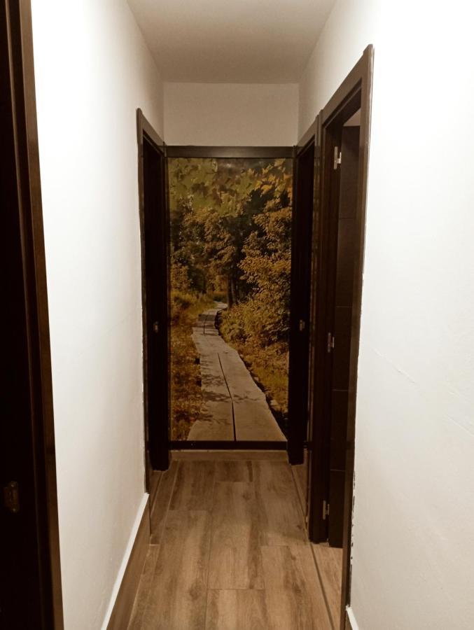 Precioso Apartamento 3 Habitaciones. Con Patio. Camas Εξωτερικό φωτογραφία